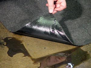 �������������� � ������������� ����