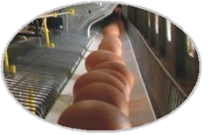 ����� ��� ����� ���� Egg Belt